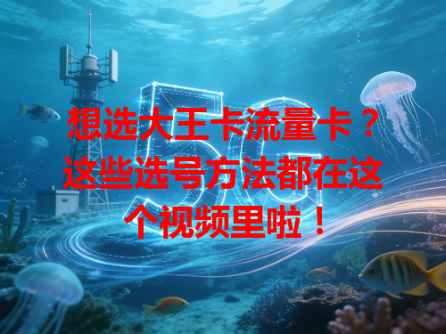 想选大王卡流量卡？这些选号方法都在这个视频里啦！