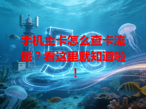 手机主卡怎么查卡流量？看这里就知道啦！