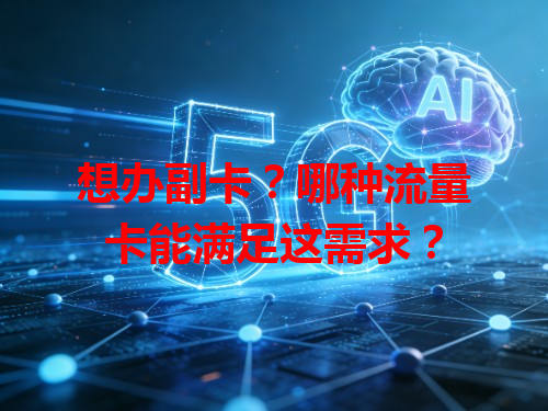 想办副卡？哪种流量卡能满足这需求？