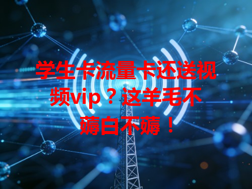 学生卡流量卡还送视频vip？这羊毛不薅白不薅！