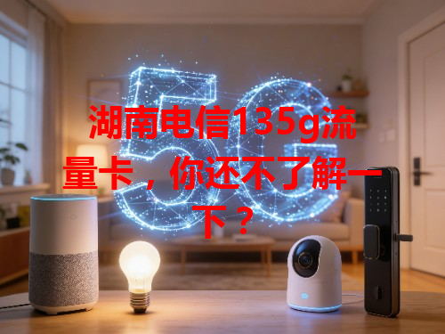 湖南电信135g流量卡，你还不了解一下？