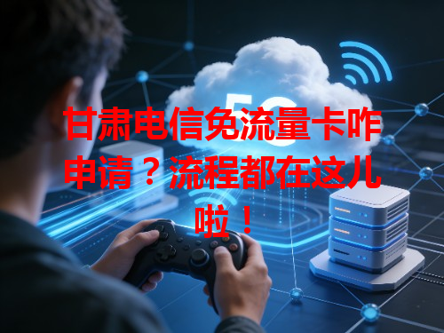 甘肃电信免流量卡咋申请？流程都在这儿啦！