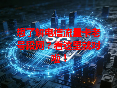 想了解电信流量卡老号段网？看这里就对啦！