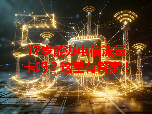 17岁能办电信流量卡吗？这里有答案！