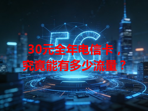 30元全年电信卡，究竟能有多少流量？