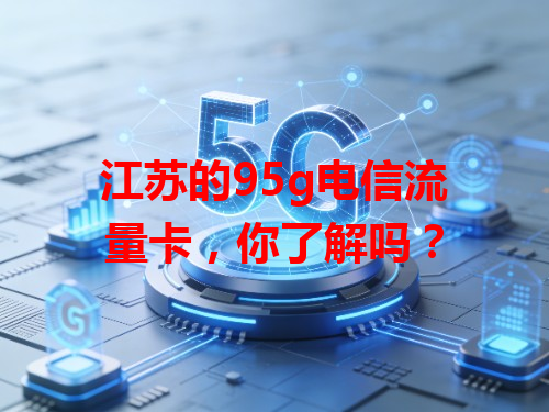 江苏的95g电信流量卡，你了解吗？