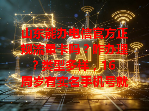 山东能办电信官方正规流量卡吗？咋办理？类型多样，16 周岁有实名手机号就能办，信号超稳，全省通用，山区也能畅快刷视频玩游戏！