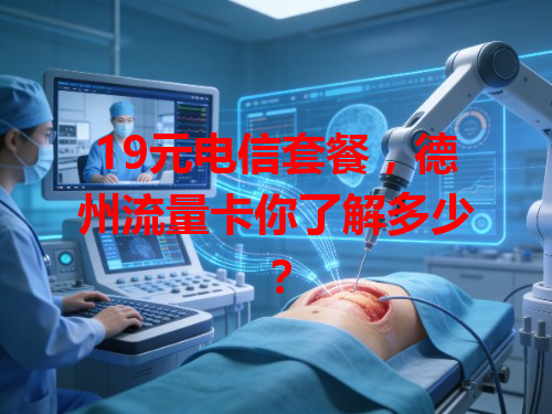 19元电信套餐，德州流量卡你了解多少？