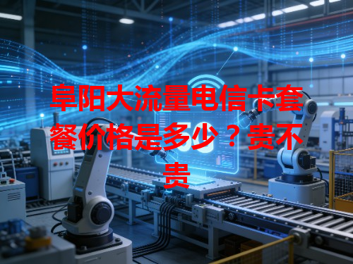 阜阳大流量电信卡套餐价格是多少？贵不贵