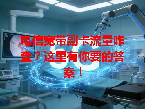 电信宽带副卡流量咋查？这里有你要的答案！