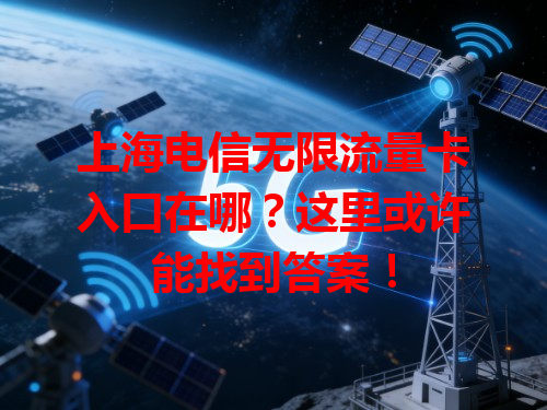 上海电信无限流量卡入口在哪？这里或许能找到答案！
