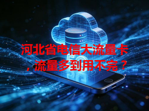 河北省电信大流量卡，流量多到用不完？