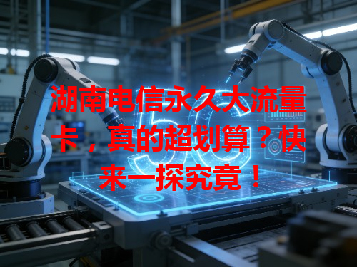 湖南电信永久大流量卡，真的超划算？快来一探究竟！