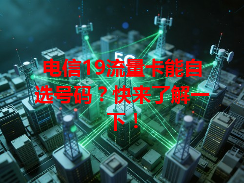 电信19流量卡能自选号码？快来了解一下！