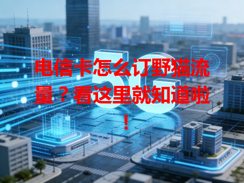 电信卡怎么订野猫流量？看这里就知道啦！