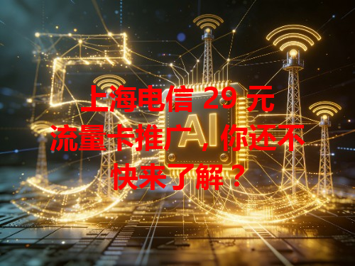 上海电信 29 元流量卡推广，你还不快来了解？