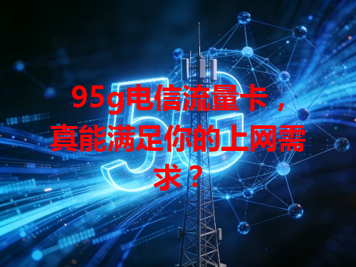 95g电信流量卡，真能满足你的上网需求？