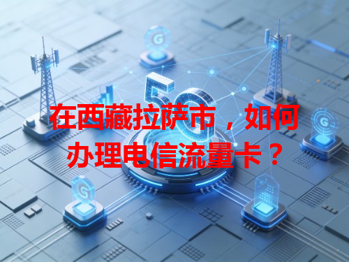 在西藏拉萨市，如何办理电信流量卡？