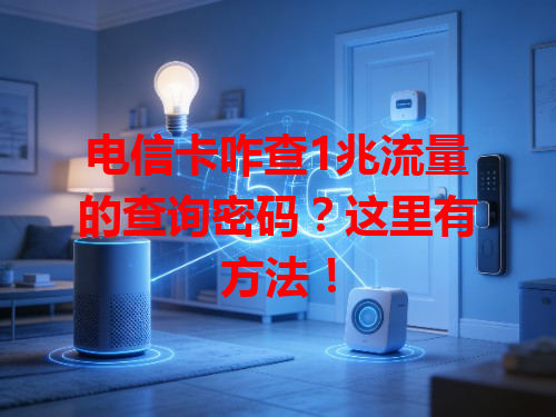 电信卡咋查1兆流量的查询密码？这里有方法！