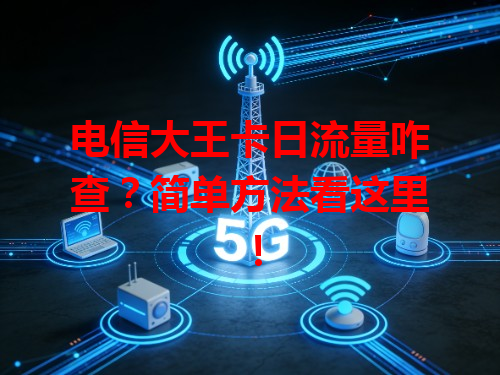 电信大王卡日流量咋查？简单方法看这里！