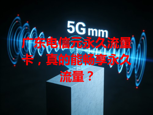 广东电信元永久流量卡，真的能畅享永久流量？
