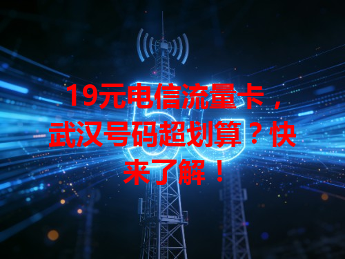 19元电信流量卡，武汉号码超划算？快来了解！