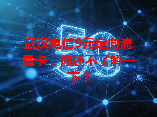 武汉电信9元定向流量卡，你还不了解一下？