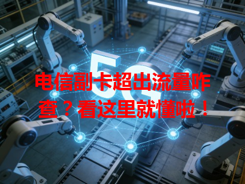 电信副卡超出流量咋查？看这里就懂啦！