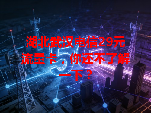湖北武汉电信29元流量卡，你还不了解一下？