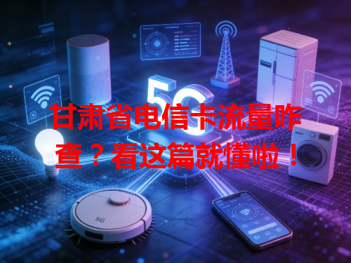 甘肃省电信卡流量咋查？看这篇就懂啦！