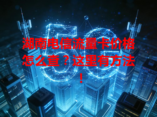 湖南电信流量卡价格怎么查？这里有方法！