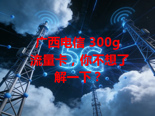 广西电信 300g 流量卡，你不想了解一下？