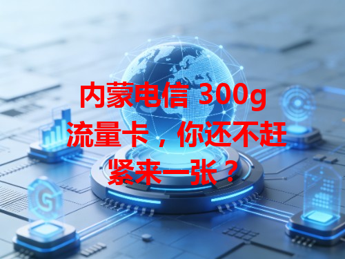 内蒙电信 300g 流量卡，你还不赶紧来一张？