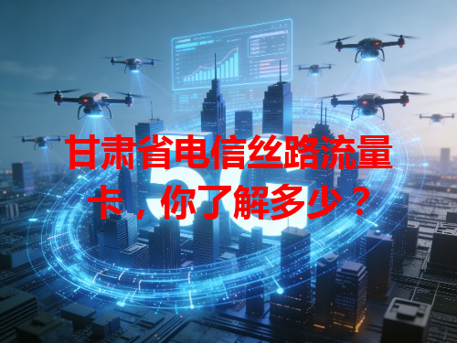 甘肃省电信丝路流量卡，你了解多少？