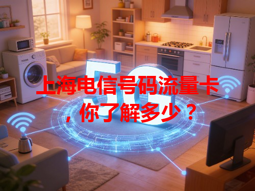 上海电信号码流量卡，你了解多少？