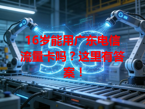 16岁能用广东电信流量卡吗？这里有答案！