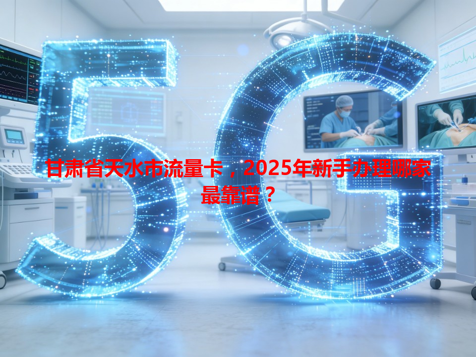 甘肃省天水市流量卡，2025年新手办理哪家最靠谱？