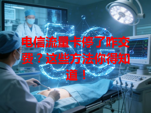 电信流量卡停了咋交费？这些方法你得知道！
