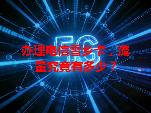 办理电信雪乡卡，流量究竟有多少？