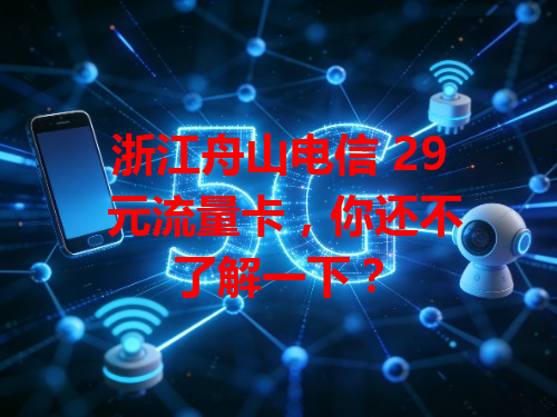浙江舟山电信 29 元流量卡，你还不了解一下？