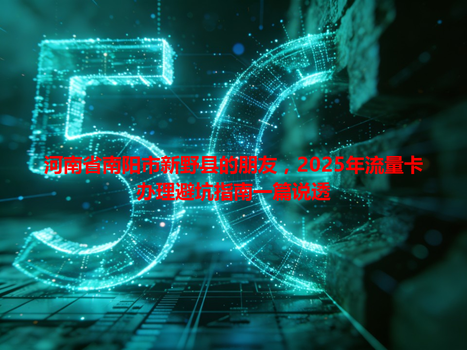 河南省南阳市新野县的朋友，2025年流量卡办理避坑指南一篇说透