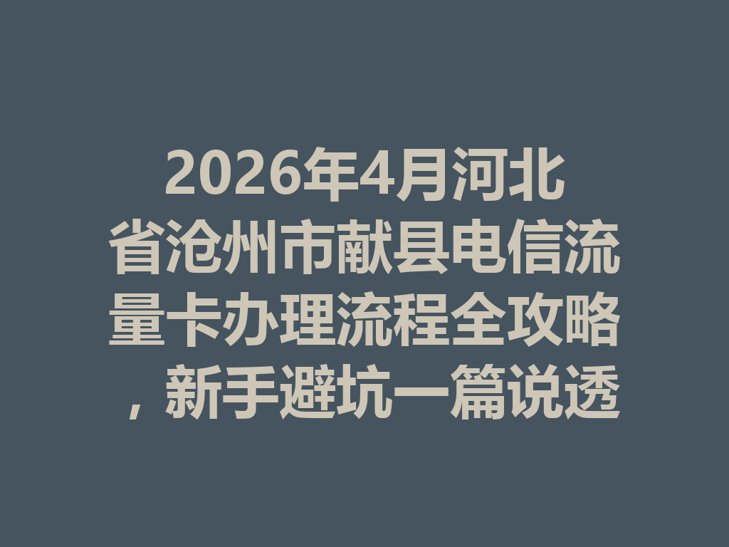 2026年4月河北省沧州市献县电信流量卡办理流程全攻略，新手避坑一篇说透