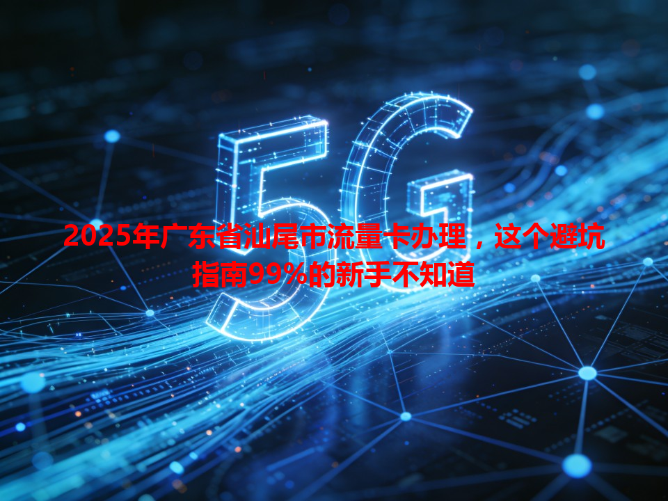 2025年广东省汕尾市流量卡办理，这个避坑指南99%的新手不知道