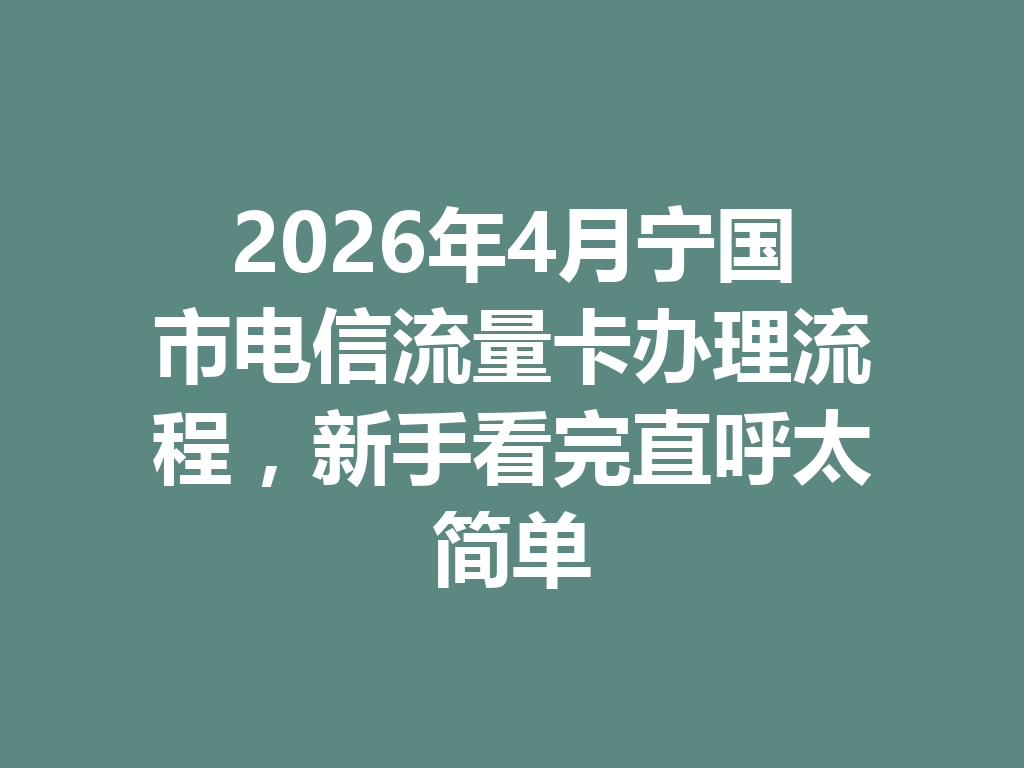 2026年4月宁国市电信流量卡办理流程，新手看完直呼太简单