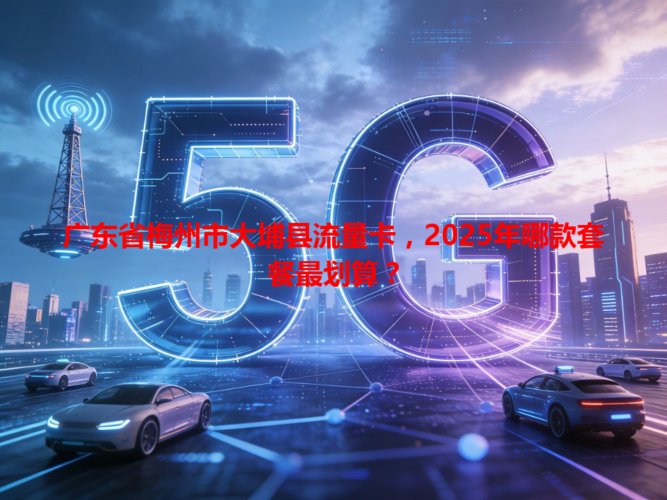 广东省梅州市大埔县流量卡，2025年哪款套餐最划算？