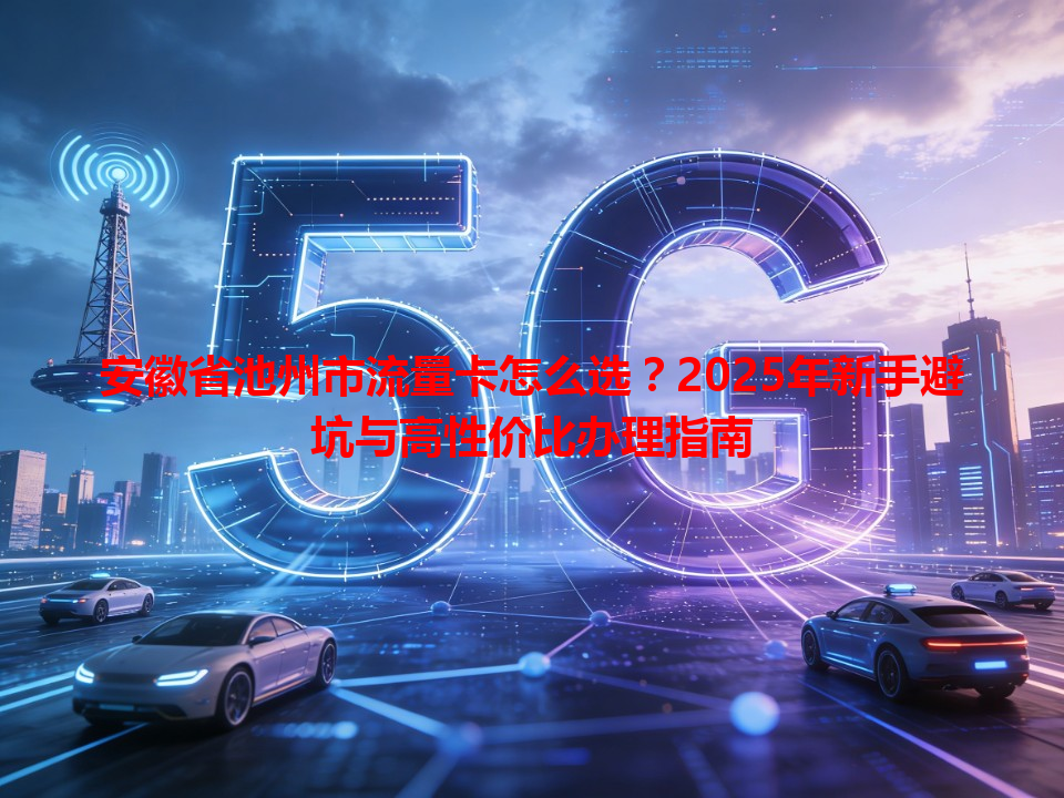 安徽省池州市流量卡怎么选？2025年新手避坑与高性价比办理指南