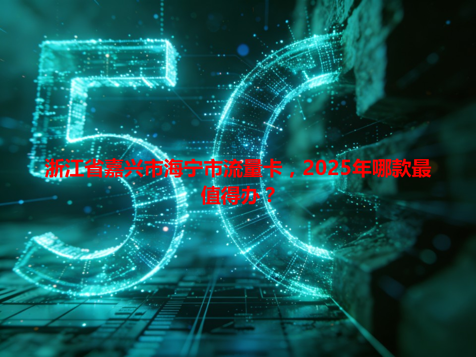 浙江省嘉兴市海宁市流量卡，2025年哪款最值得办？