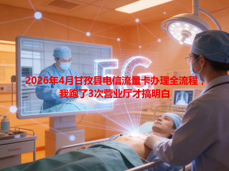 2026年4月甘孜县电信流量卡办理全流程，我跑了3次营业厅才搞明白