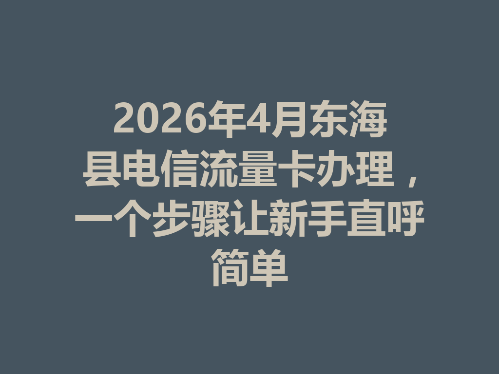 2026年4月东海县电信流量卡办理，一个步骤让新手直呼简单