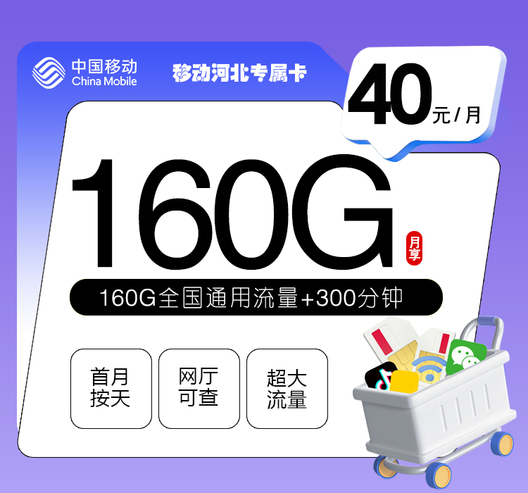 移动河北专属卡③40元每月160G通用+300分钟通话